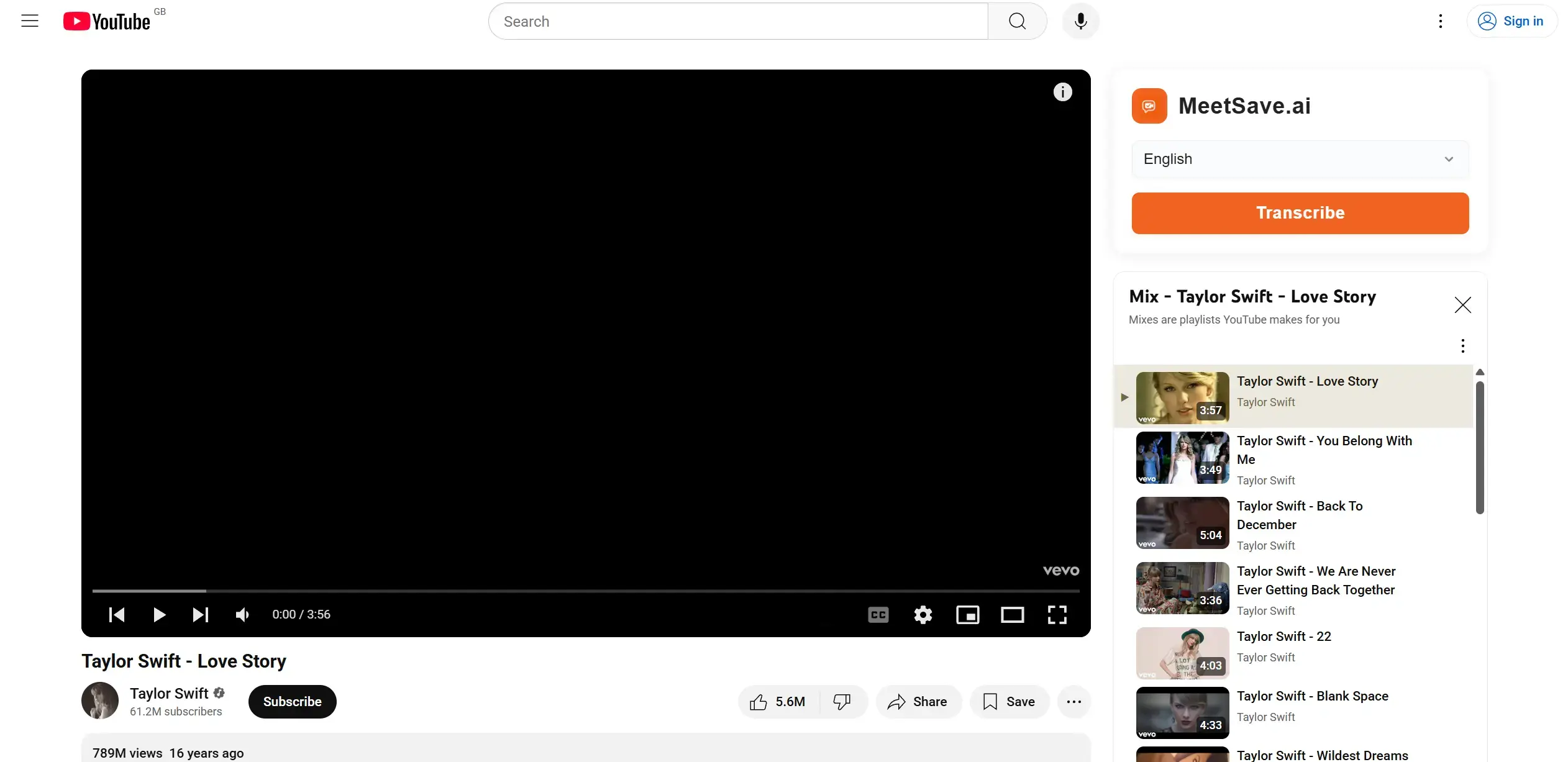 YouTube Video Transcription
